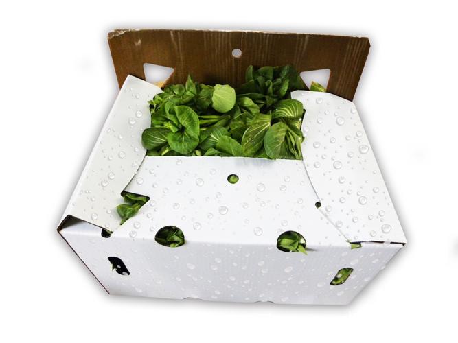 【品质保证】纸箱 防水纸箱 蜡箱蔬菜物流纸箱 上海金星优质纸板