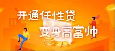 苏宁金融任性贷接入 碧有信 APP 积极布局双线场景