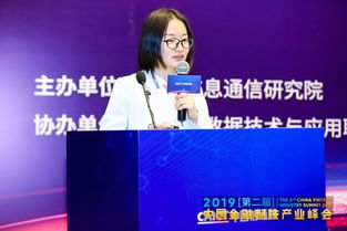 2019中国金融科技产业峰会丨信通院云大所金融科技部郜咨询顾问唐明环解读 金融业网络安全白皮书 2019